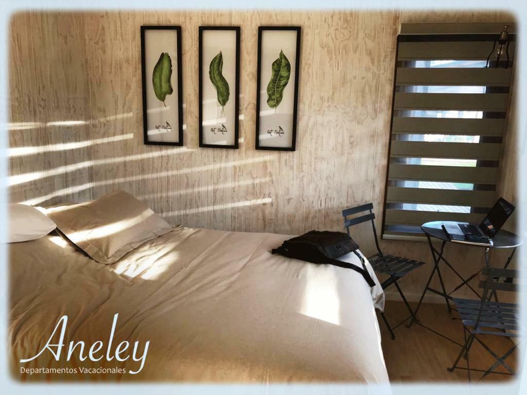 Aneley Cabanas Apartment