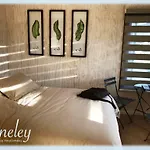 Aneley Cabanas Pucon